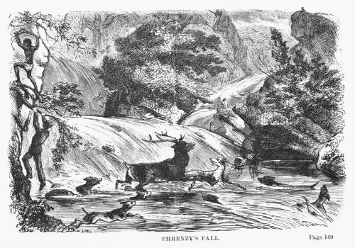 Phrenzy's Falls